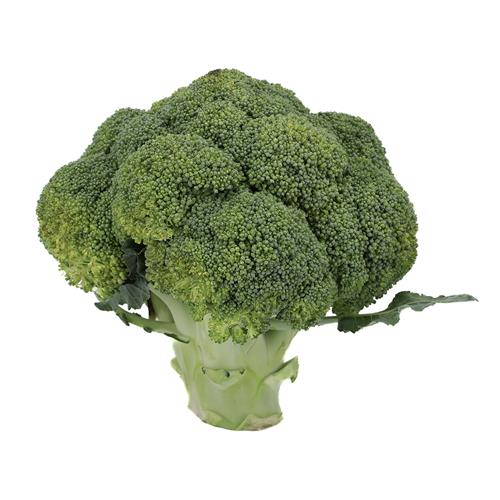 Brócoli