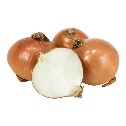Cebolla