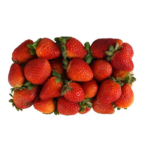 Frutilla (bandeja 500g)