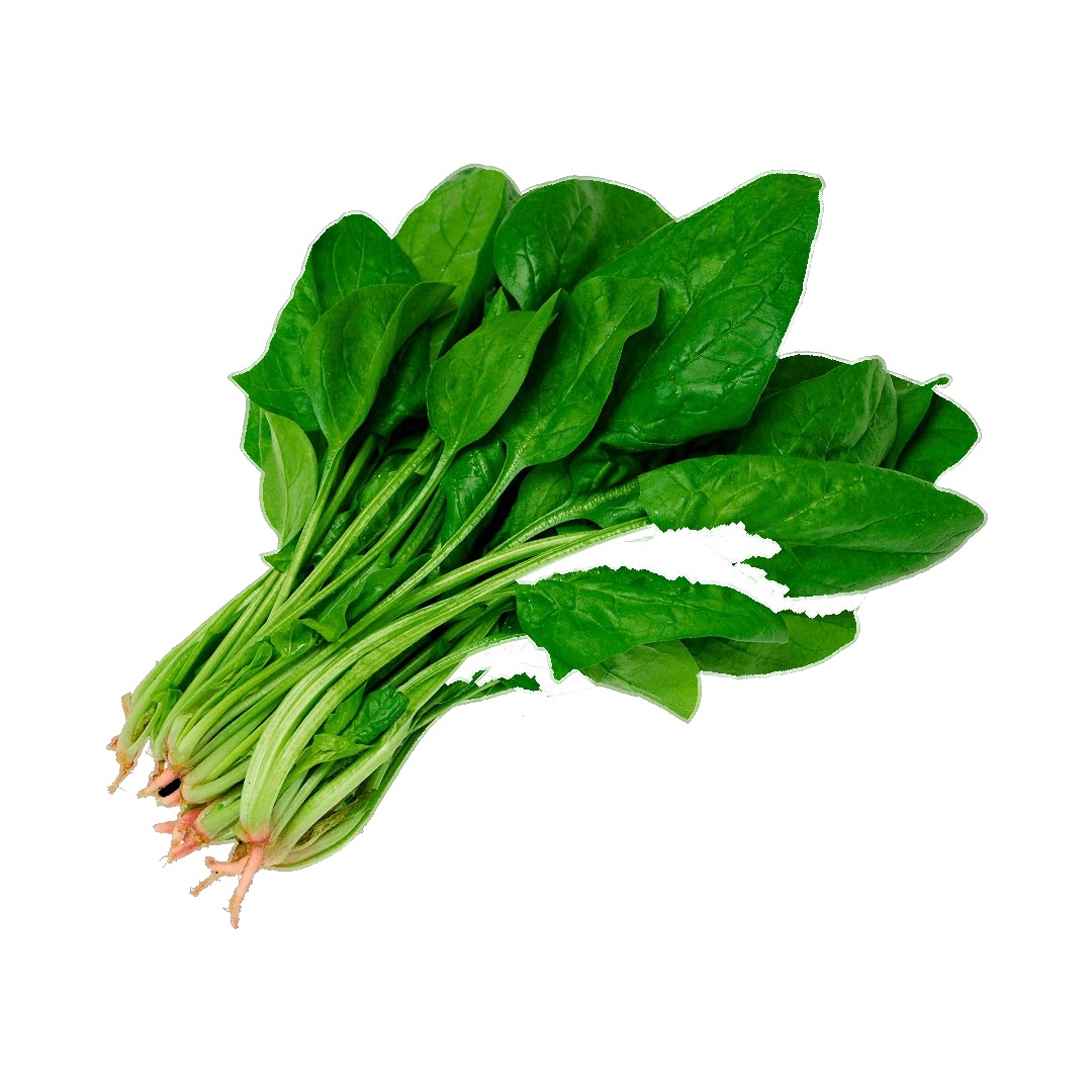 Espinaca