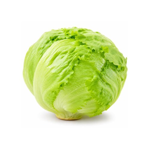 Lechuga Capuchina