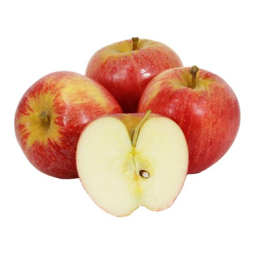 Manzana Gala