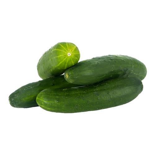 Pepino