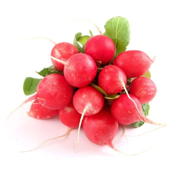 Rabanito